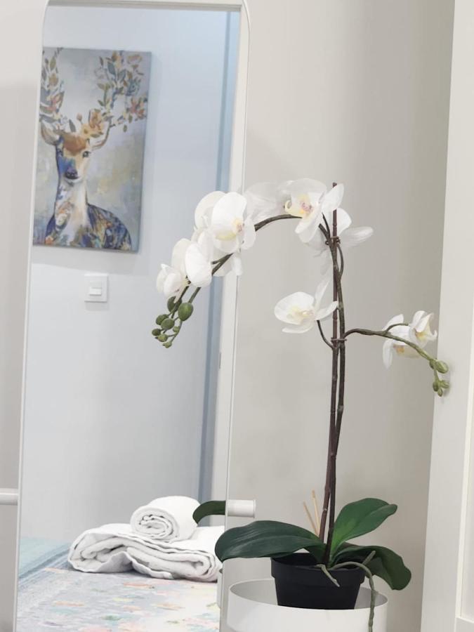 וייאדוליד Apartamento Paula מראה חיצוני תמונה